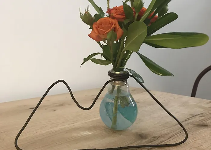 Отель Barbarella